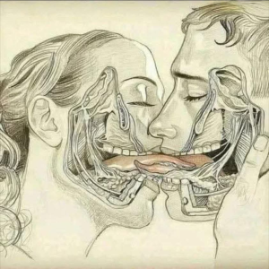 WHAT HAPPENS WHEN WE TONGUE KISS…See more